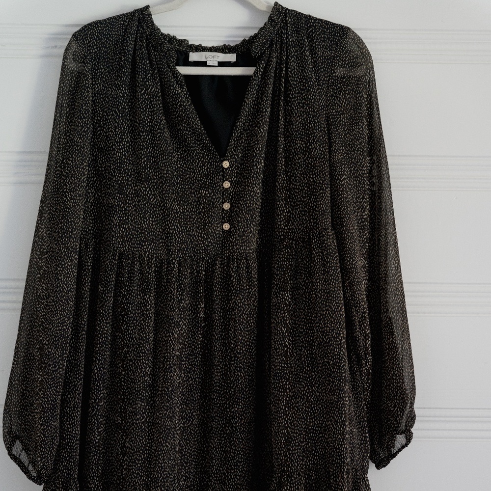 Loft Ankle Length, Chiffon Long Sleeve Dress with Sheer Sleeves